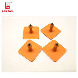 33mm 33mm Square Pig Sheep Hog Livestock Ear Tags With Metal Tip For Farm Management